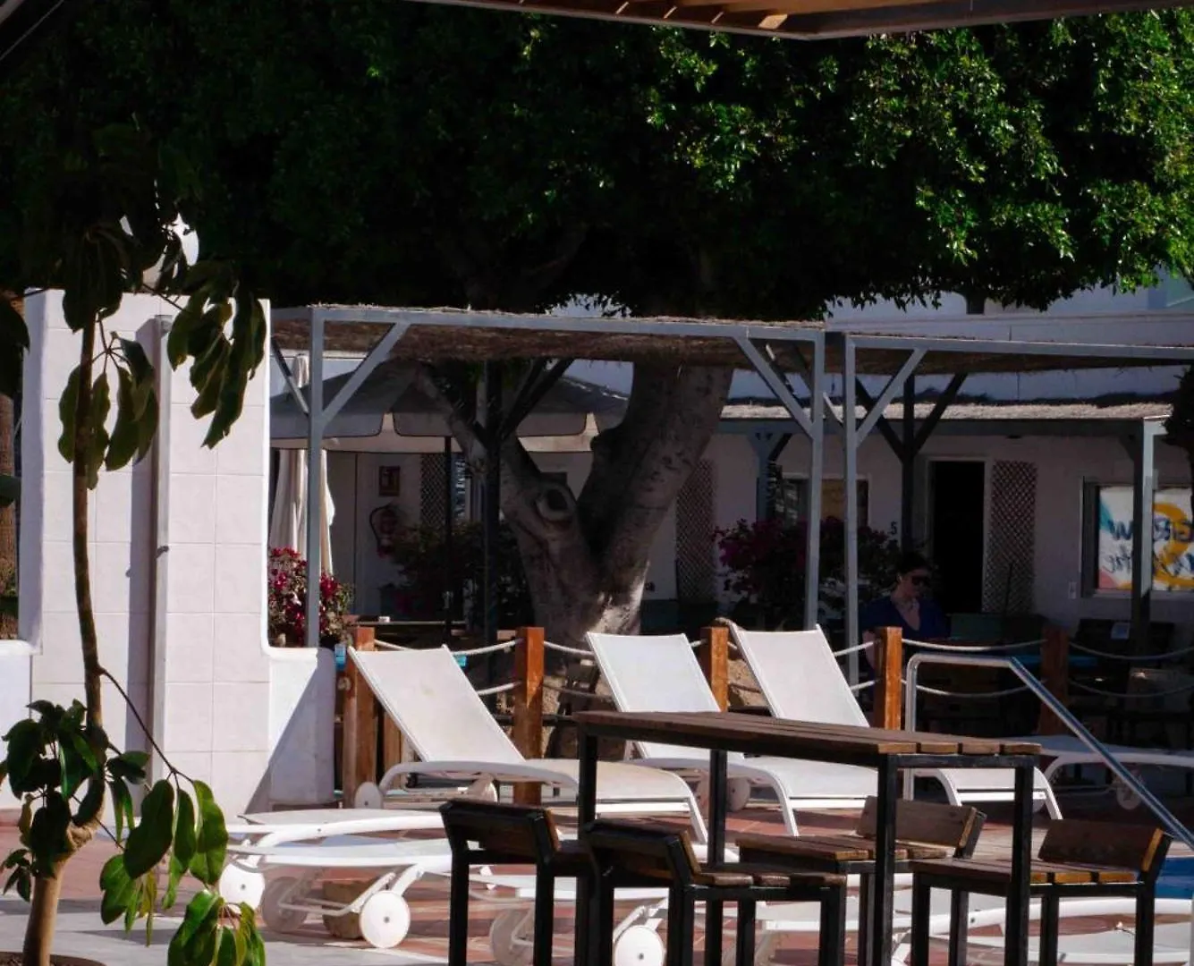 Hostel The Tree House Tenerife El Médano