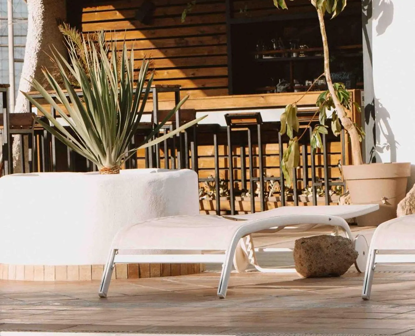 Hostel The Tree House Tenerife El Médano Španělsko