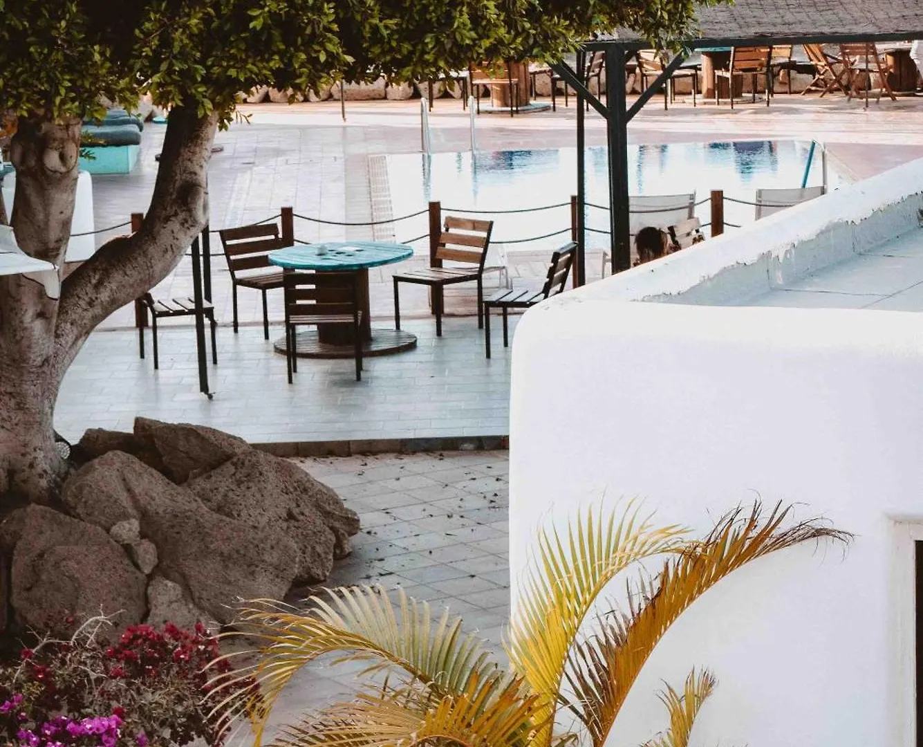 The Tree House Tenerife El Medano  Hostel