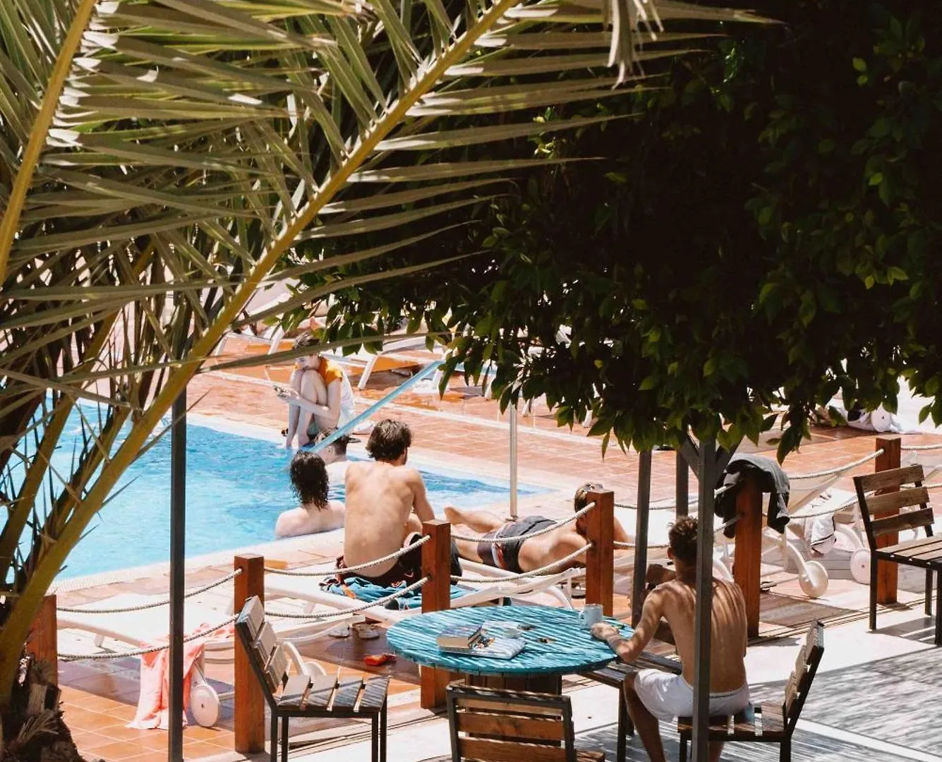 Hostel The Tree House Tenerife El Medano